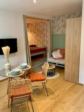 Natural Suite en centre ville avec jardin